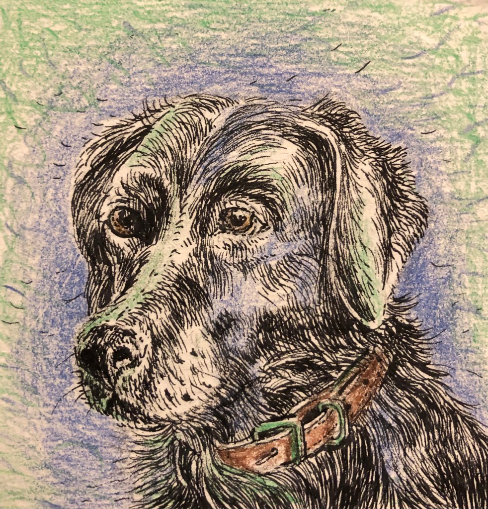 Local only (Decatur, Avondale Estates)
Pricing depends on number and type of pets, distance to travel, number of visits per day, etc. Dog walking available. 
Please message me through the contact form for all inquiries and pricing. References available.